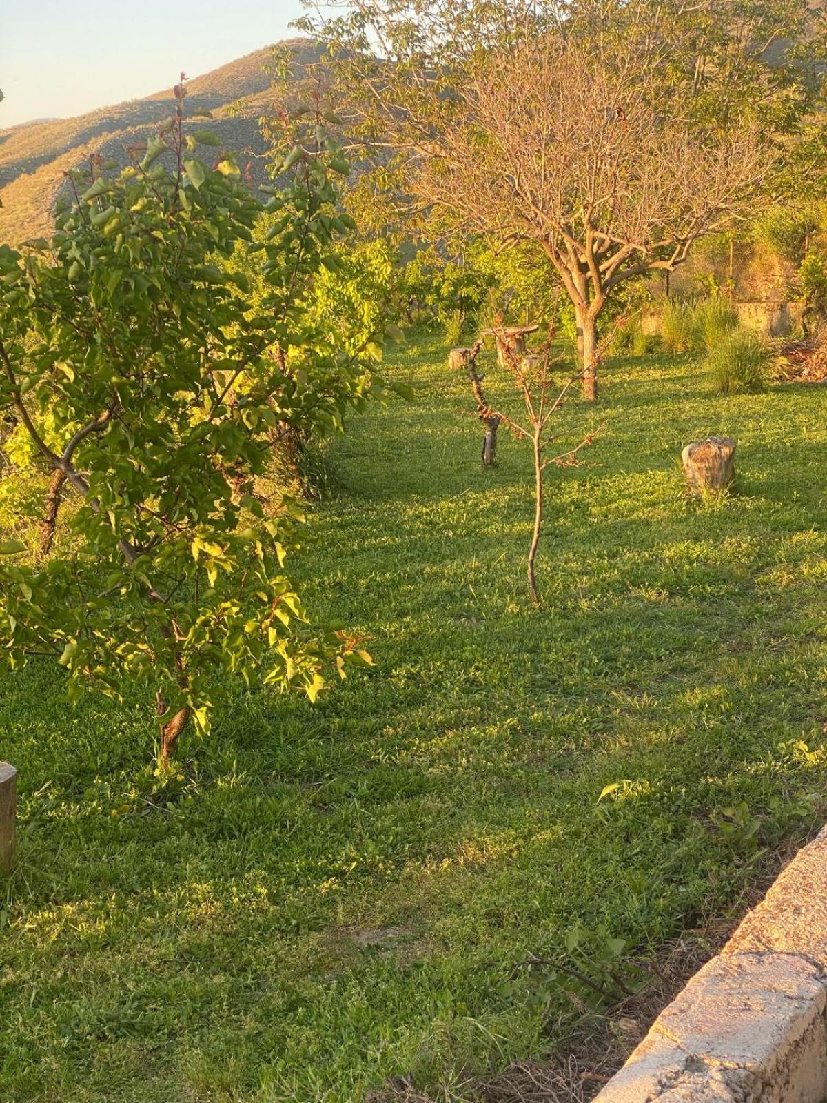 Casa Rural Balcon De Моначиль Экстерьер фото